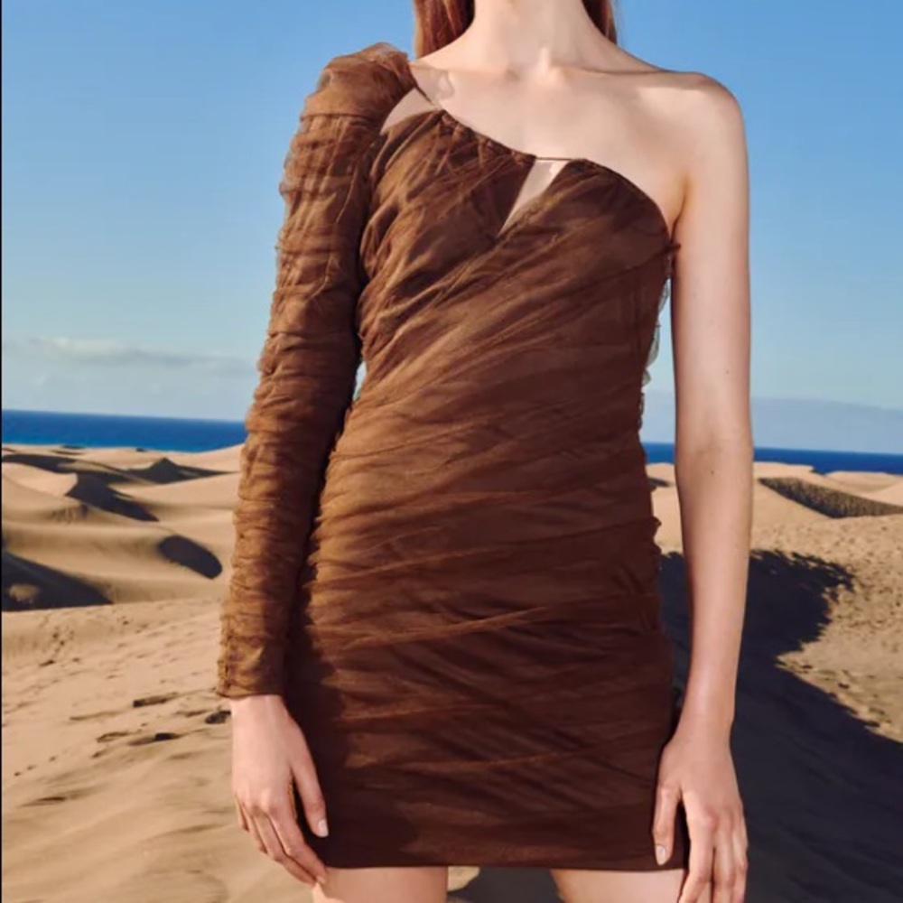 NWT ZARA Cut Out Tulle Dress